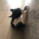 Bolinha Prensada de CATNIP Amor