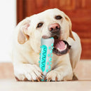 Brinquedo Interativo Multifuncional Toothbrush