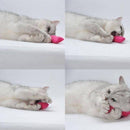 Brinquedo para Gatos | Animais de Pelúcia
