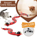 Brinquedos Inteligentes Cobra Divertida - Amor PetShop