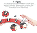 Brinquedos Inteligentes Cobra Divertida - Amor PetShop
