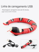 Brinquedos Inteligentes Cobra Divertida - Amor PetShop