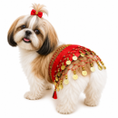 Saia Dança do Ventre Luxo para Pets com Lantejoulas e Moedas Decorativas Ajustável