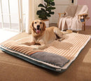Cama Ortopédica Comfort Plus para Cães Premium