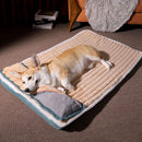 Cama Ortopédica Comfort Plus para Cães Premium