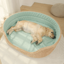Caminha para Cachorros PetSky