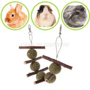 Colar Roedor Natural e Orgânico para Coelho e Porquinho da India