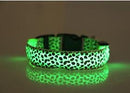 Coleira Leopardo LED