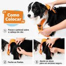 Peitoral Híbrido Retrátil Antipuxão para Cães com Guia Integrada e Trava de Segurança