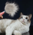 Escova CLEANPET Massageador e Removedora de Pelos