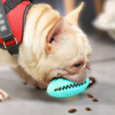 Escova de Dentes Multifuncional Interativa BILLY BALL para Cachorros