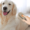 Escova Elétrica a Vapor PetSteam