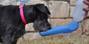 Garrafa Bebedouro Portátil para Pets