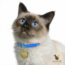 Pingente de Identificação Personalizável para Pets em Aço Inoxidável