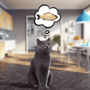 PIPI The FISH® - O Brinquedo predileto dos Gatos - Amor PetShop