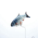PIPI The FISH®  - O Brinquedo predileto dos Gatos