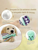Polvo Brincalhão Amigo do seu Pet